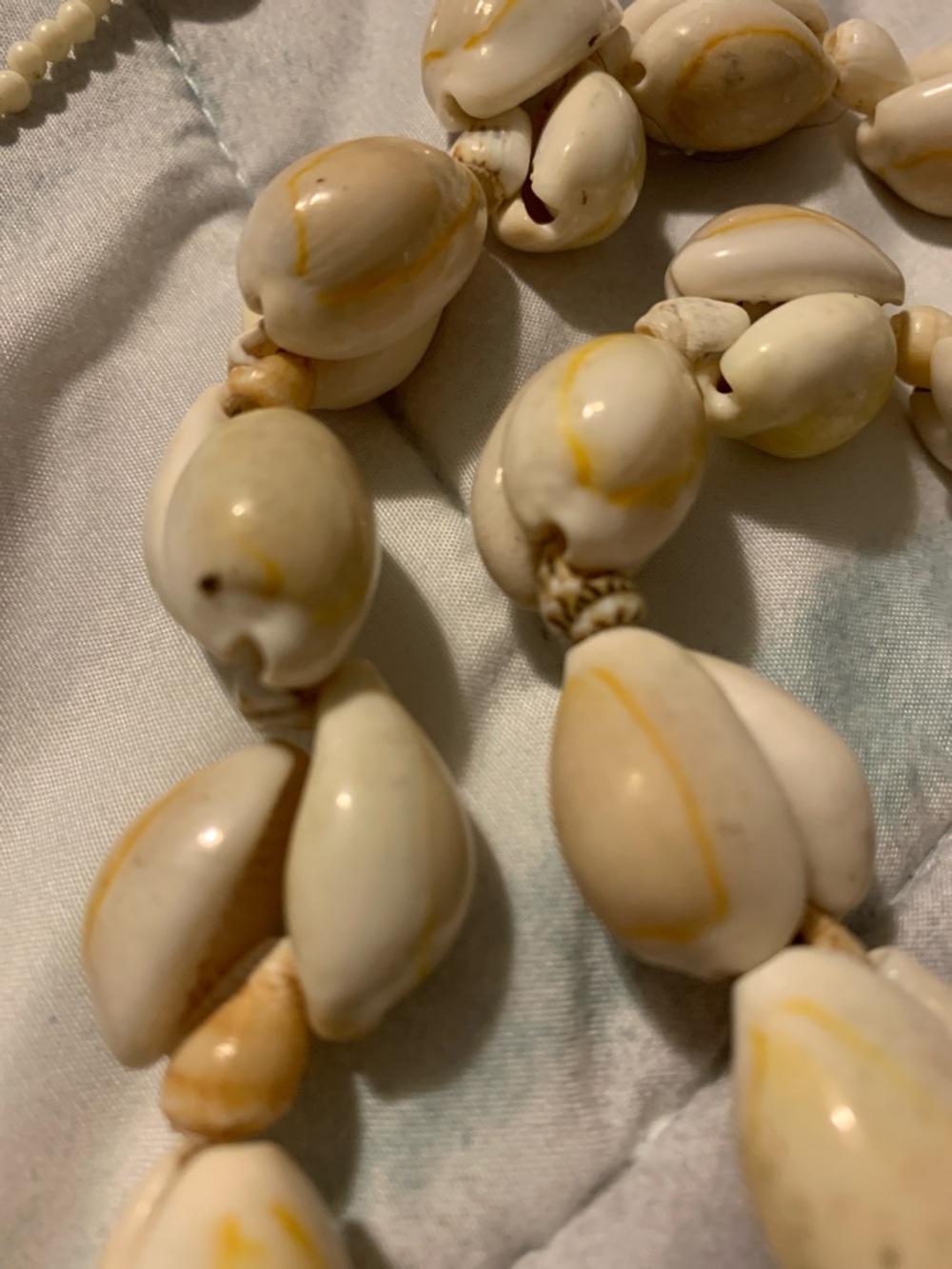 Shell Bead Necklace